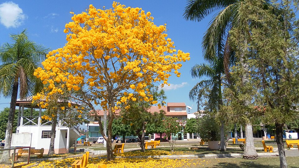 Espigão D'Oeste (RO)