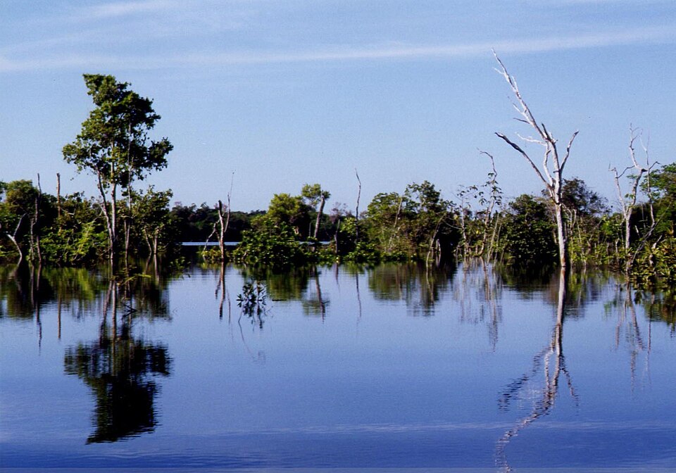 Envira (AM)