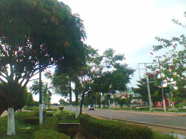 Goianésia do Pará (PA)