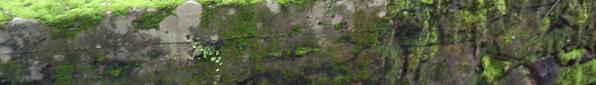 Barra do Corda (MA)