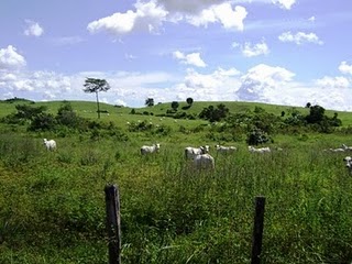 Nova Olinda do Maranhão (MA)