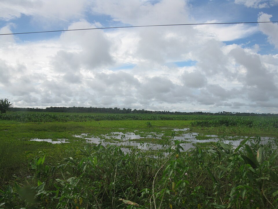 São Vicente Ferrer (MA)