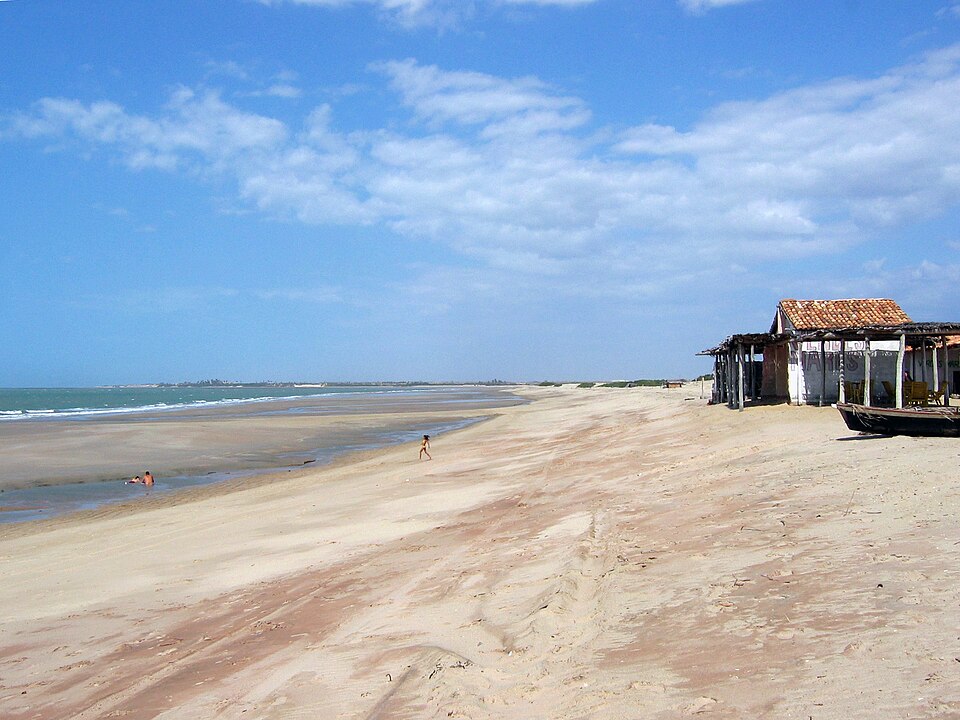 Luís Correia (PI)