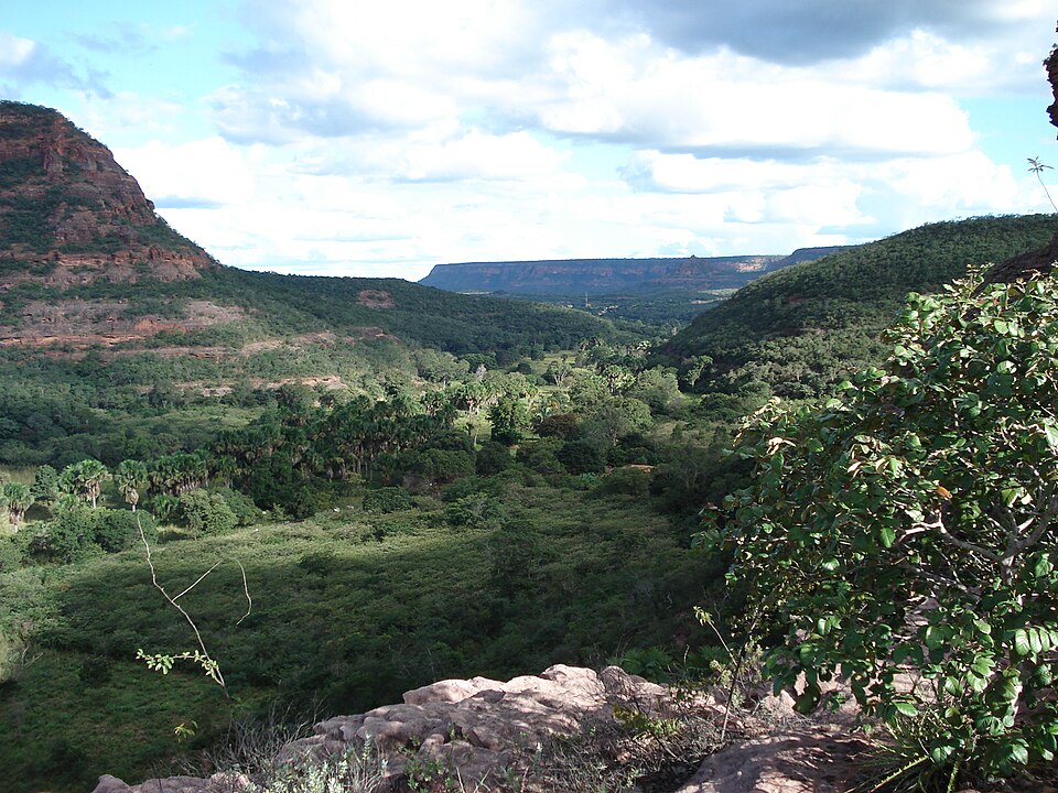 Palmeira do Piauí (PI)