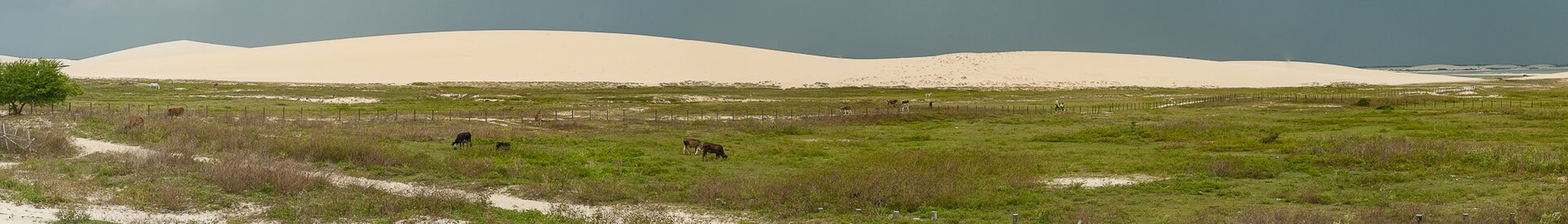 Jijoca de Jericoacoara (CE)