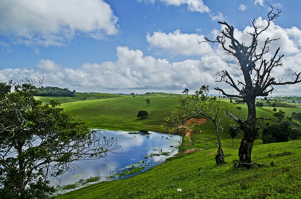 Alagoa Nova (PB)