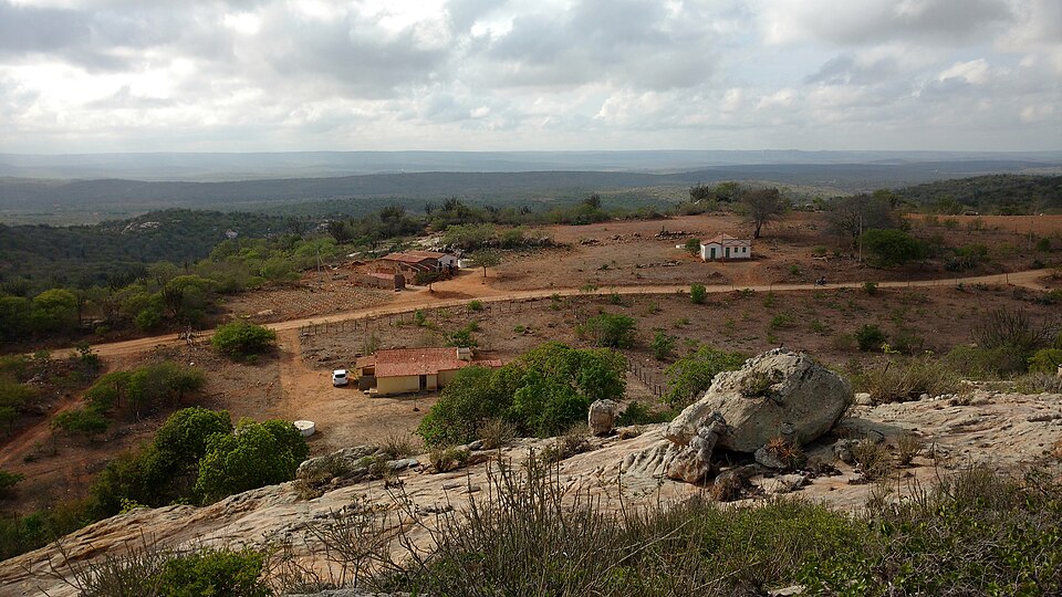 Algodão de Jandaíra (PB)