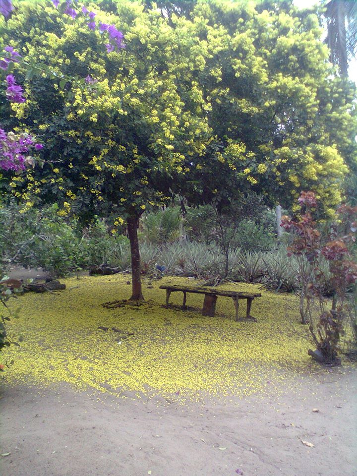Itaquitinga (PE)