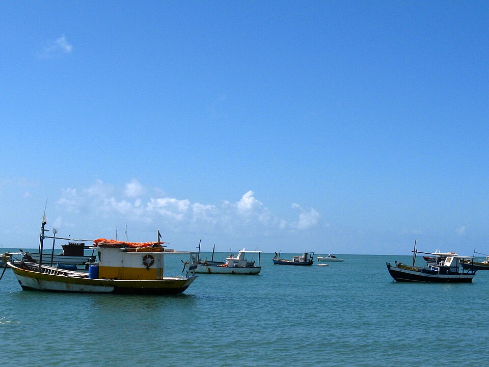 Mata de São João (BA)