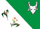 Novo Triunfo (BA)
