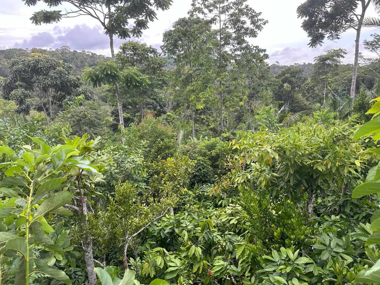 Piraí do Norte (BA)