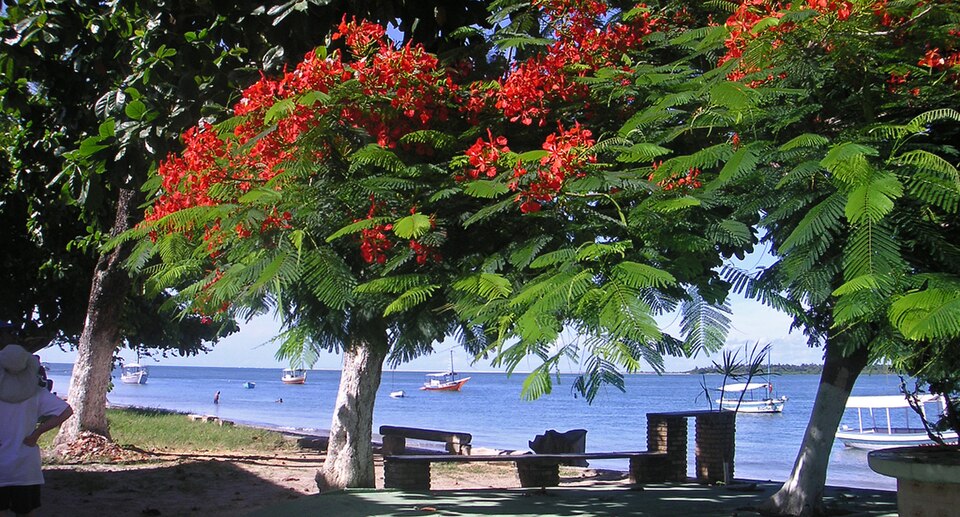 Vera Cruz (BA)