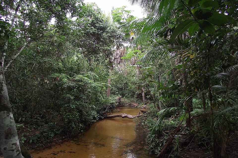 Igarapé (MG)