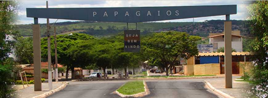 Papagaios (MG)