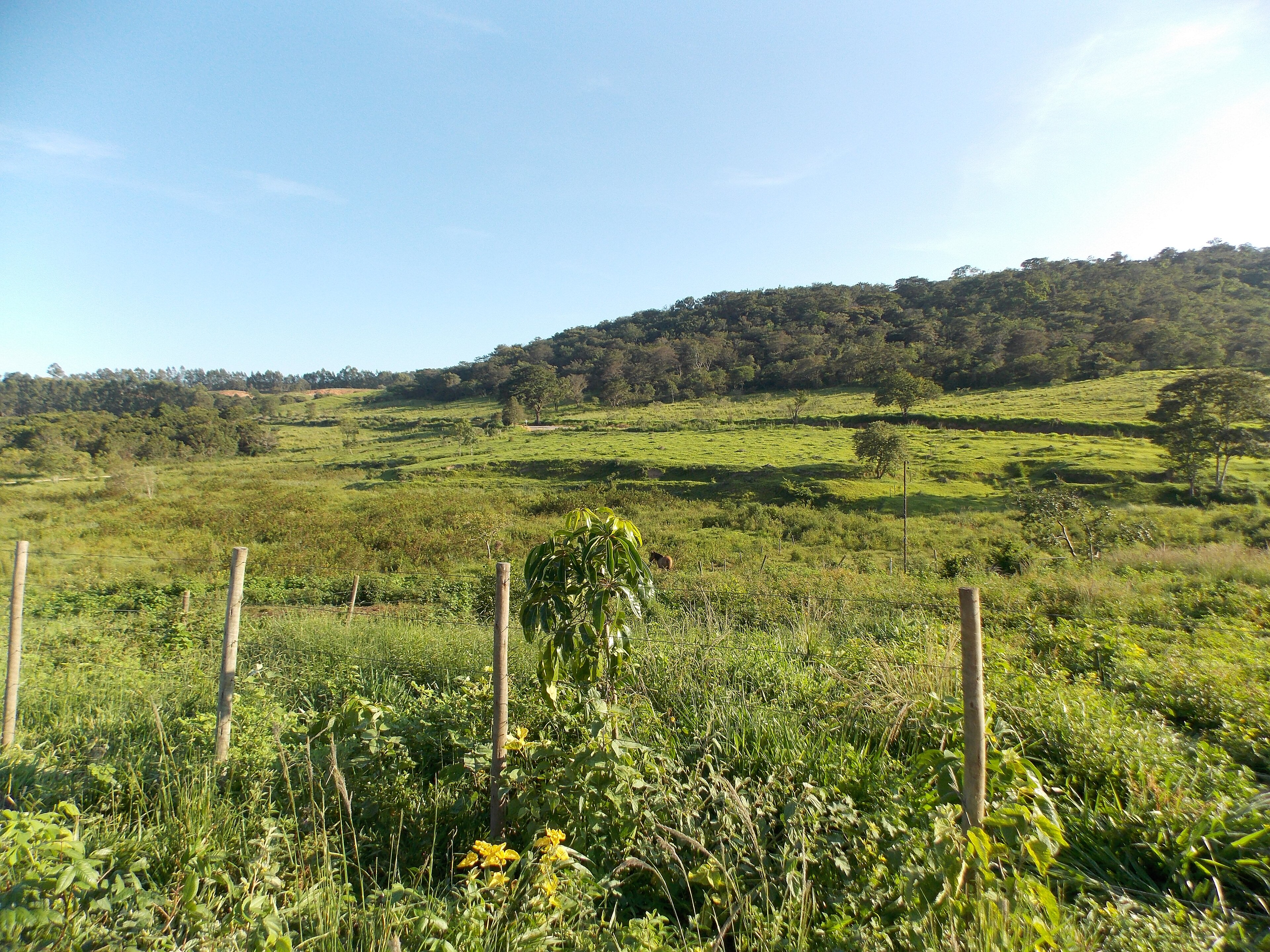 Perdigão (MG)