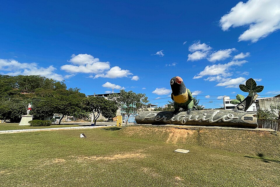 Periquito (MG)