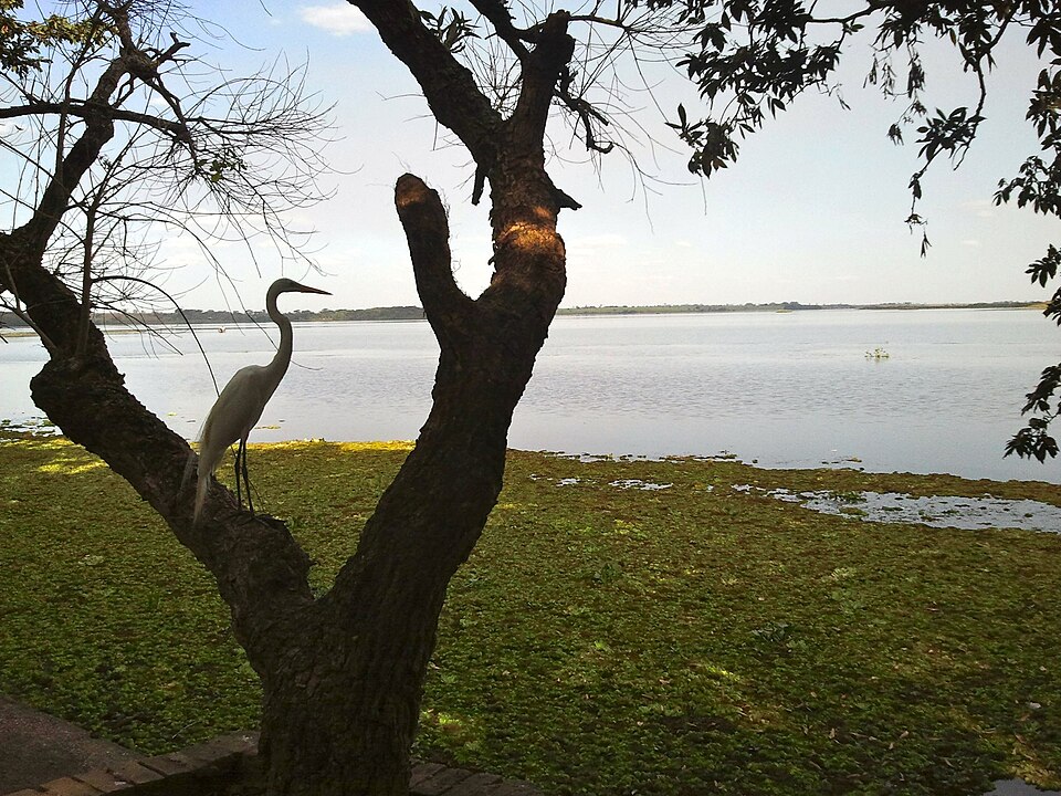 Brejo Alegre (SP)