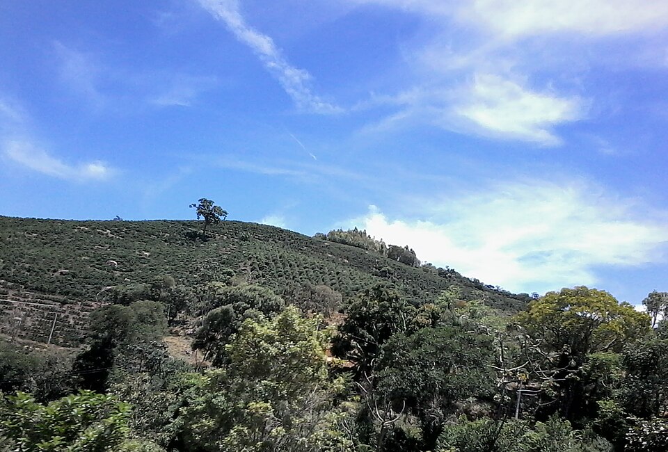 Divinolândia (SP)