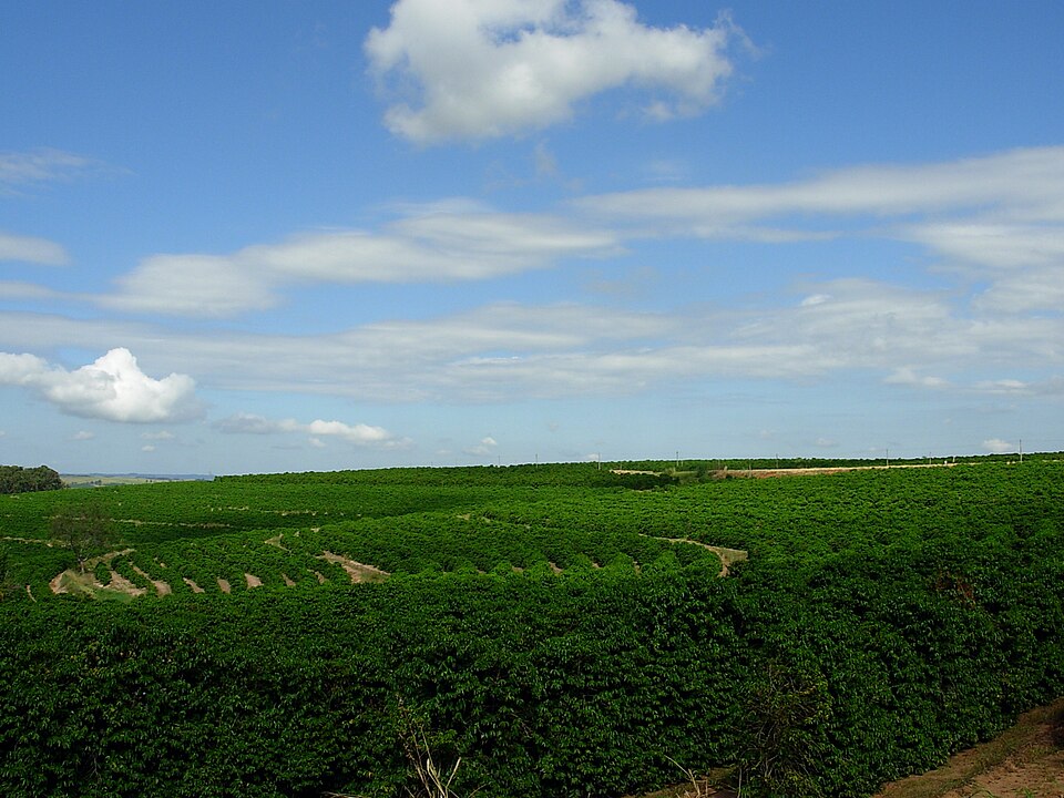 Gália (SP)