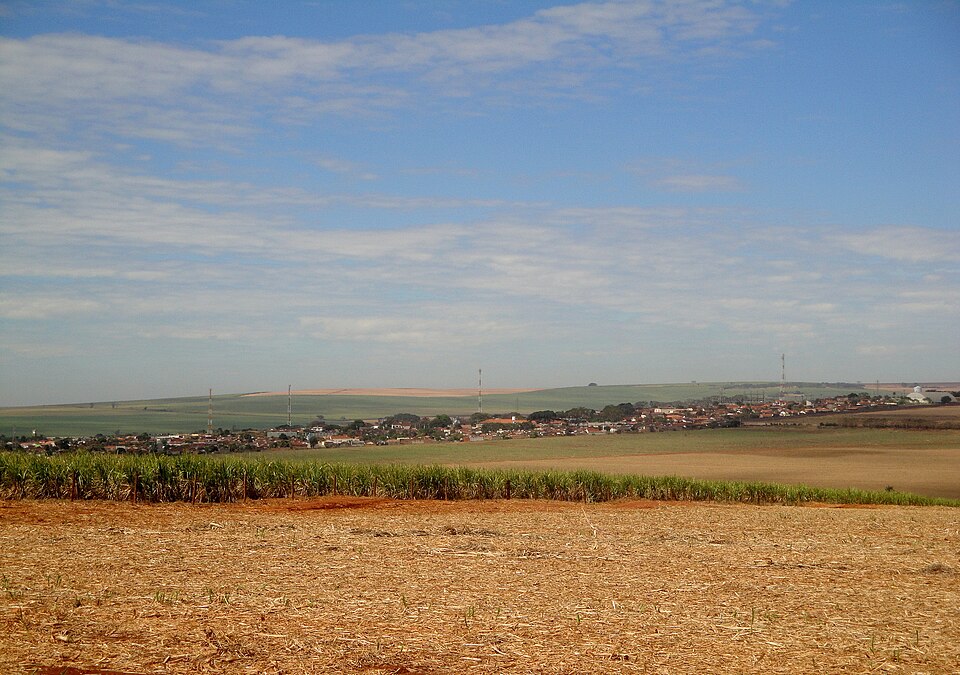 Rincão (SP)