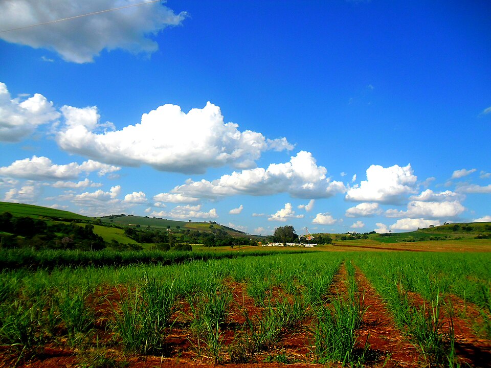 Barra do Jacaré (PR)