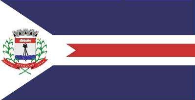 Rebouças (PR)