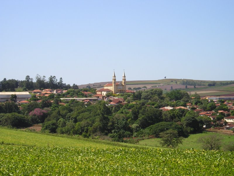 Santa Amélia (PR)
