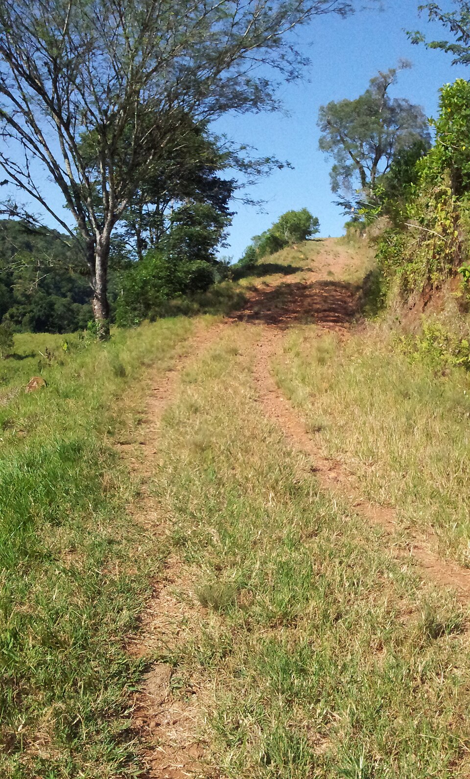 Guaraciaba (SC)