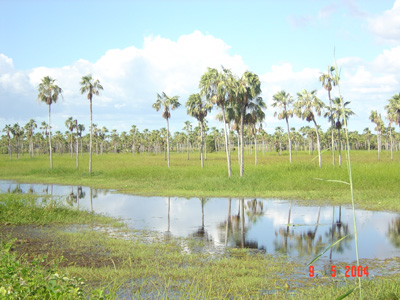 Pouso Redondo (SC)
