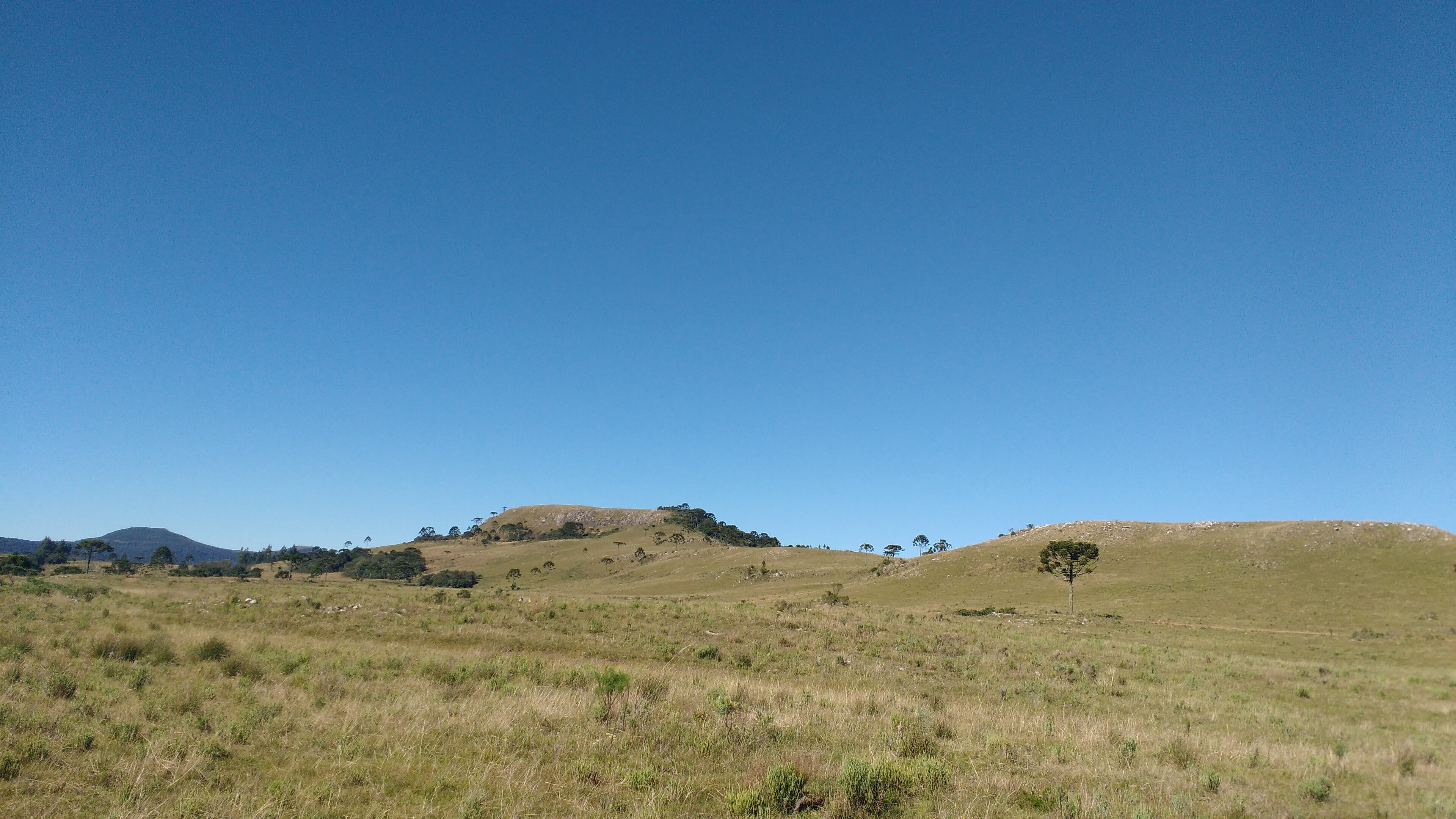 Urupema (SC)