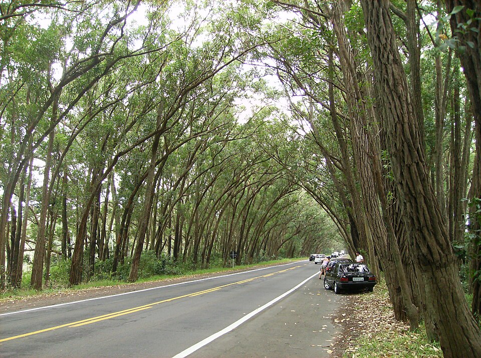 Balneário Pinhal (RS)