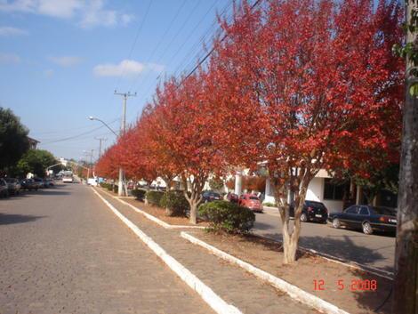 Barros Cassal (RS)