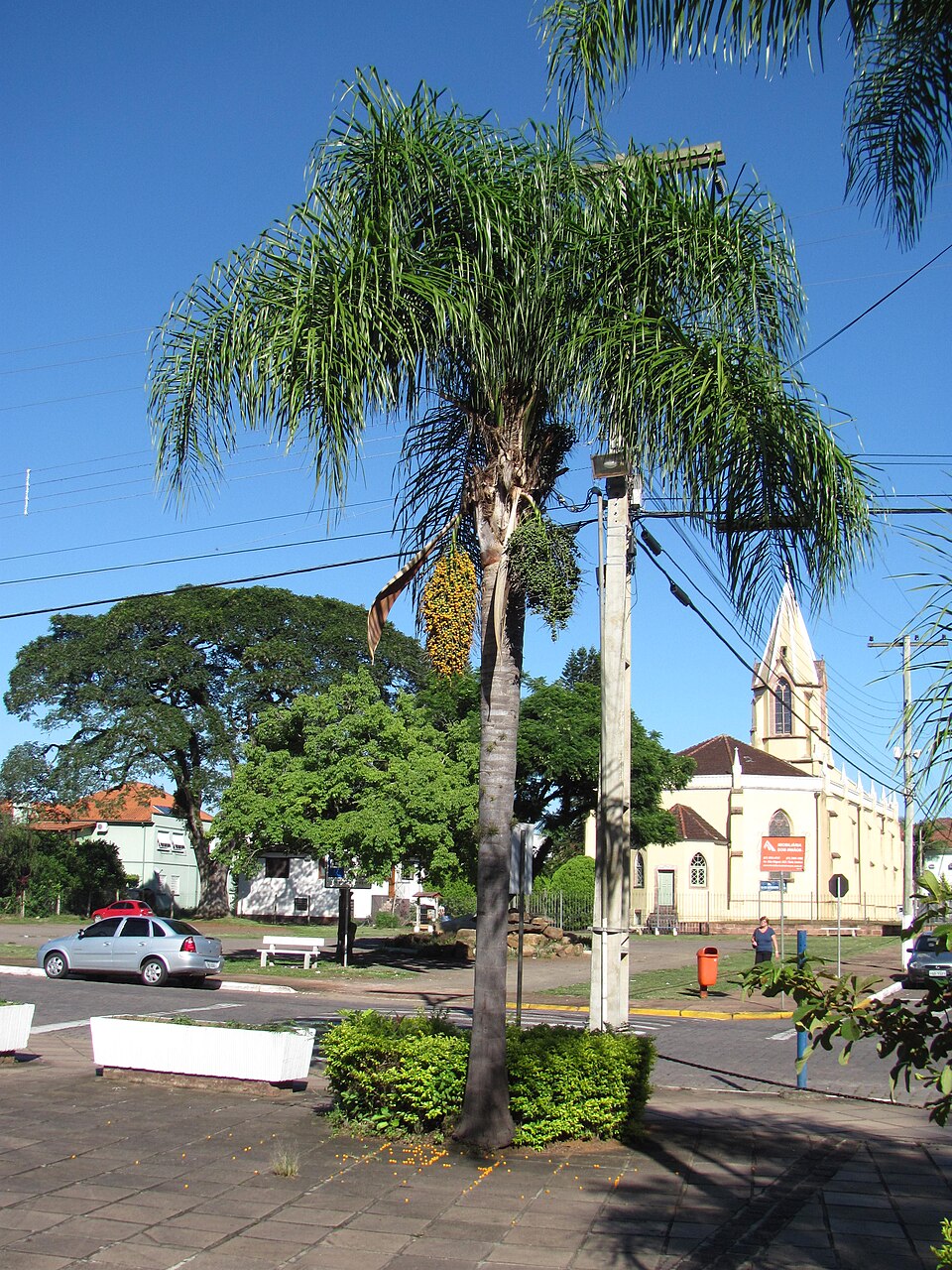 Dois Irmãos (RS)