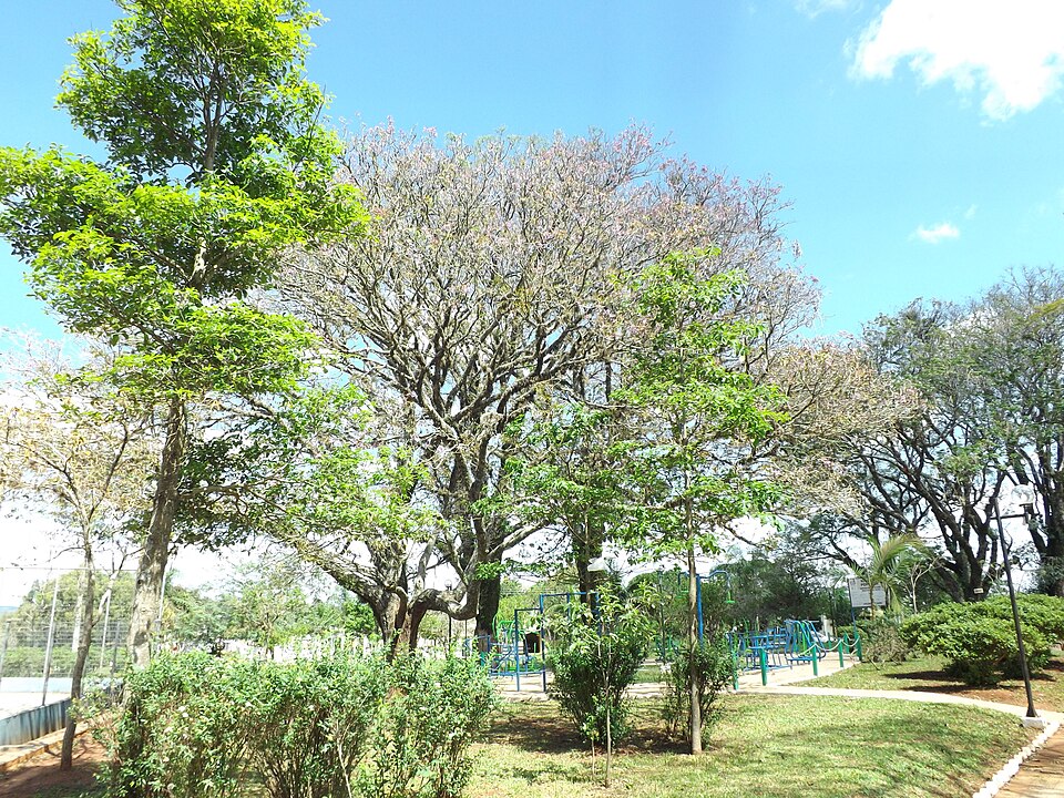 Manoel Viana (RS)