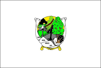 Nova Araçá (RS)