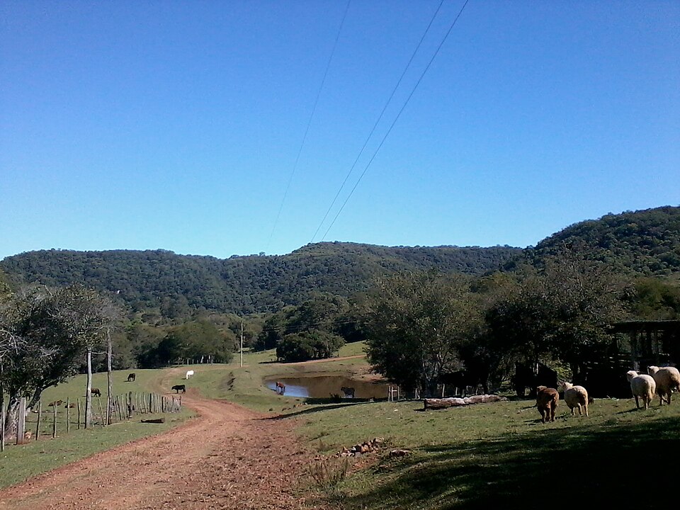 São Francisco de Assis (RS)