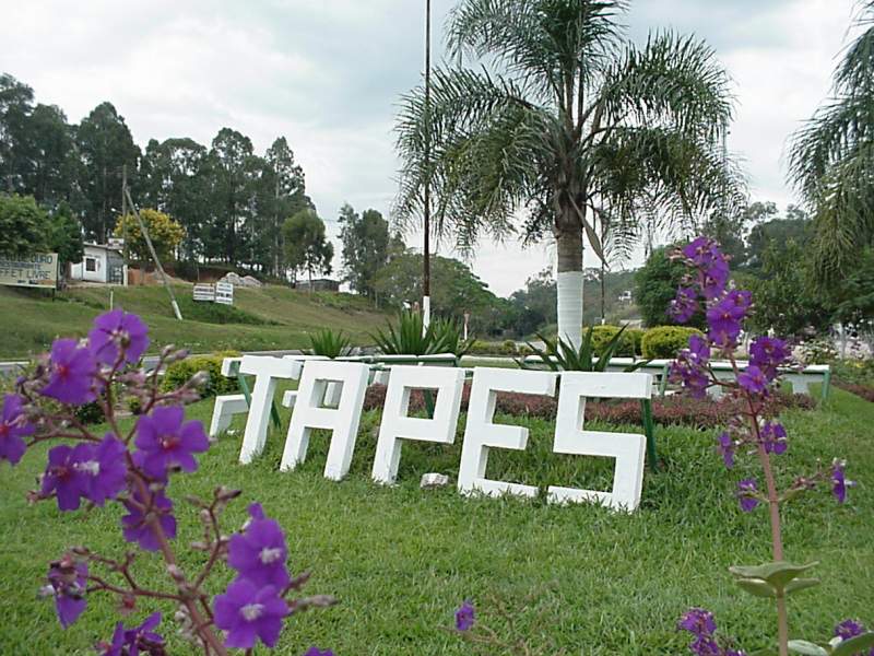 Tapes (RS)