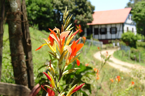 Teutônia (RS)