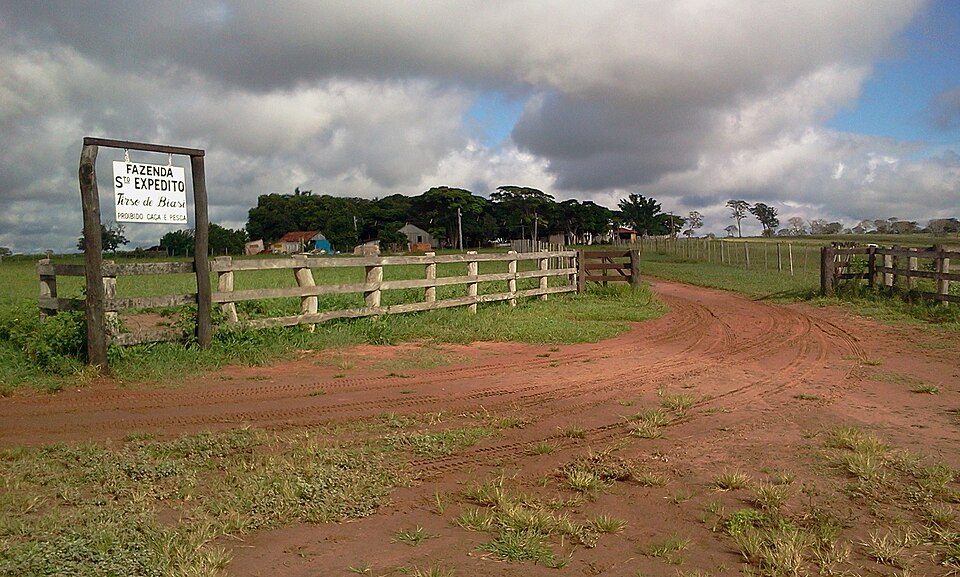 Cassilândia (MS)