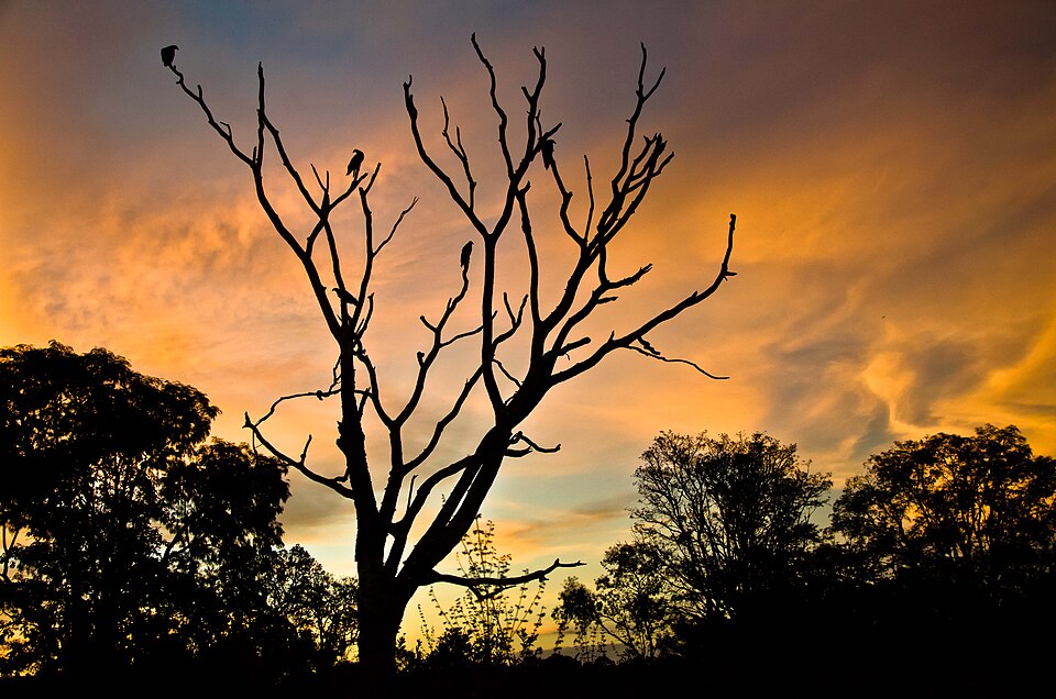 Alto Araguaia (MT)