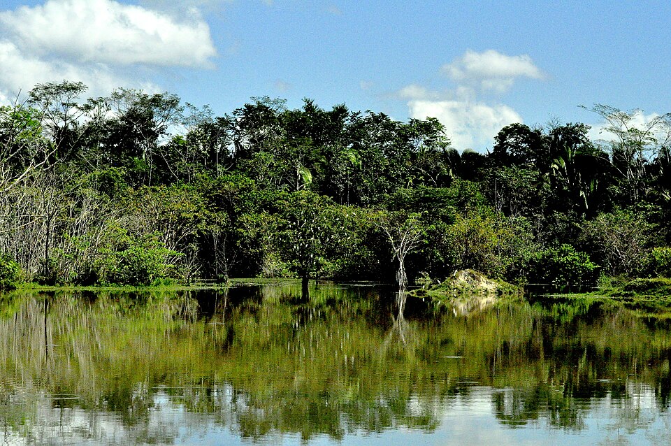 Cotriguaçu (MT)