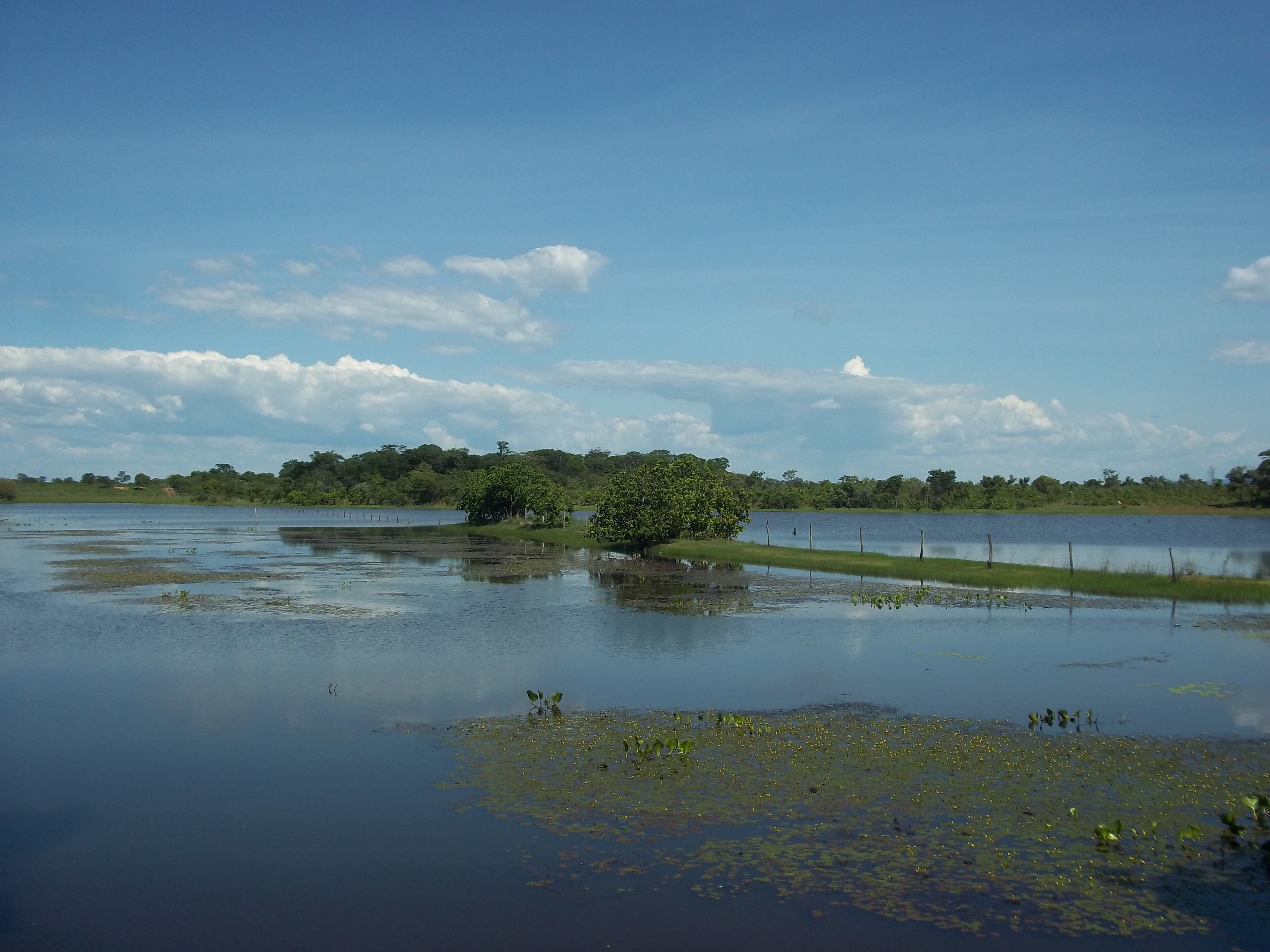 Flores de Goiás (GO)