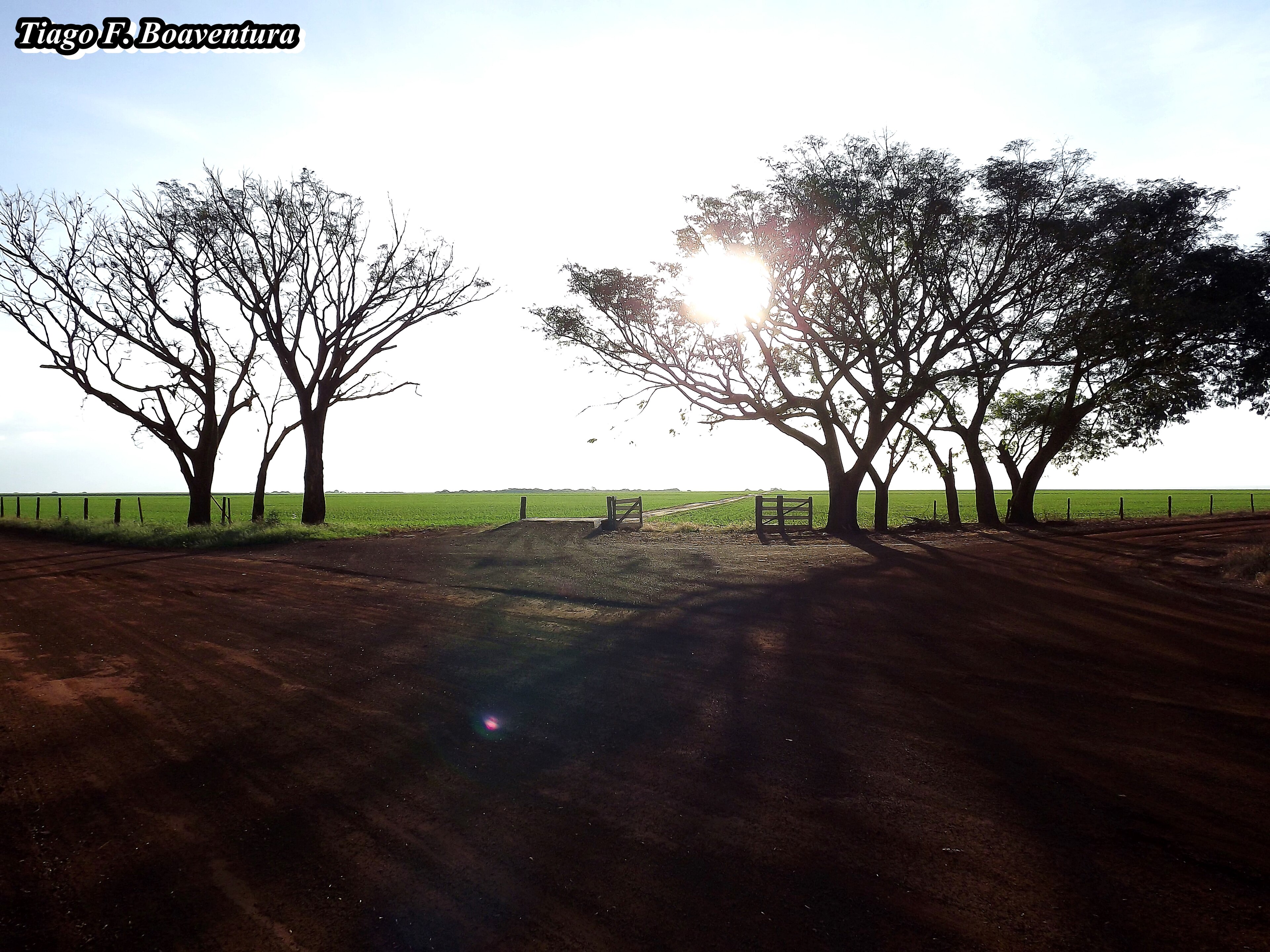 Vicentinópolis (GO)
