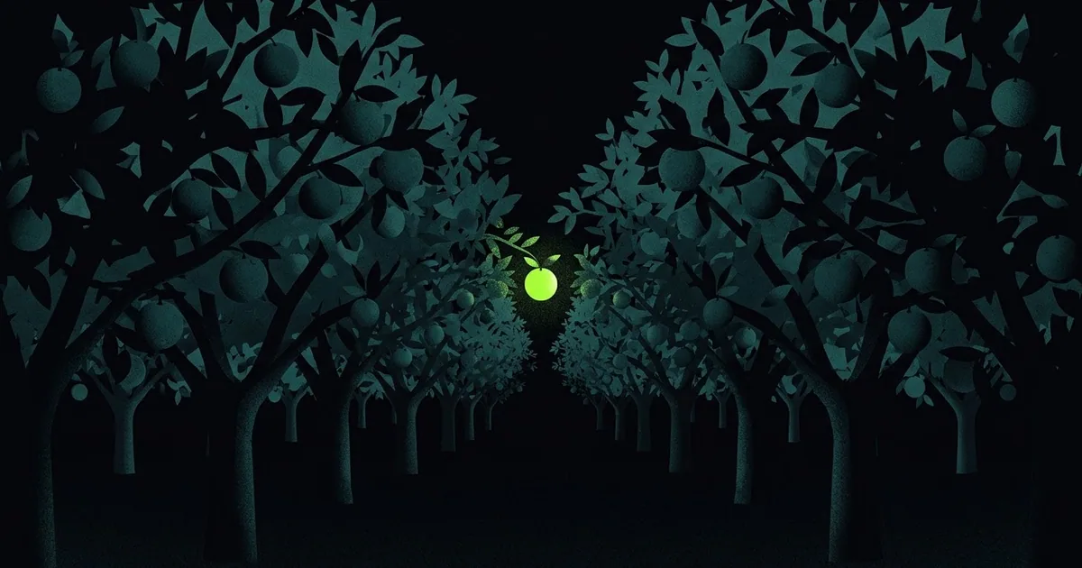 Ilustração do ranking: Cidades que mais produzem laranja de Mato Grosso do Sul